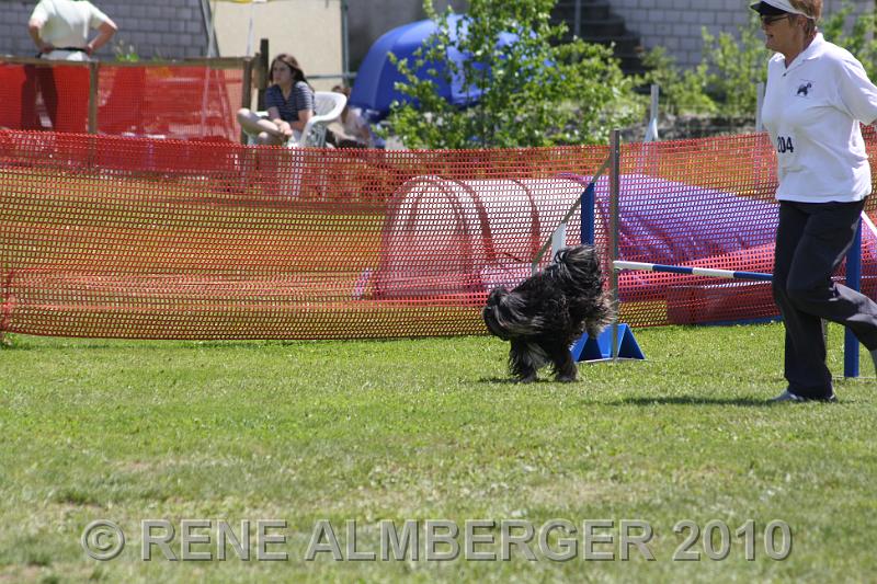 Bild 492.jpg